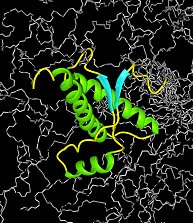 Protein structure