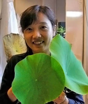 Lichao Gao taking inspiration from lotus leaves