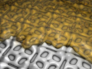 A matrix of nanoclusters made from palladium (Credit: Pollmann et al/Forschungszentrum Rossendorf)