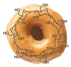 Cyclodextrin - the molecule with a hole (illustration by David Bradley)
