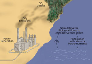 Power plant (Adapted from Berkeley Lab image)