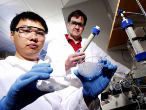 Kurt Pennell (standing) and Younggang Wang flush with success in water transport experiments on nanoparticles (Georgia Tech Photo: Gary Meek) 