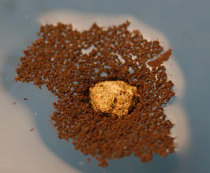 A cement fragment supported by the larger superhydrophobic copper particles (Image courtesy of Iain Larmour)