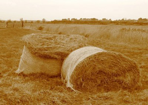 Wasted hay bails could reverse global warming (Photo by David Bradley)