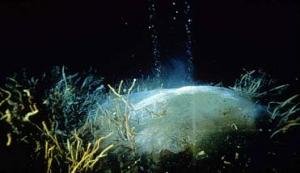 Methane can actively dissociate from hydrate mounds on the ocean floor. Image courtesy of USGS