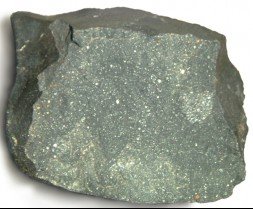 A fragment of the Murchison meteorite was analysed by the IC team