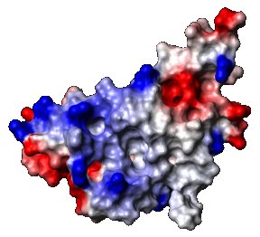 Another view of the protein