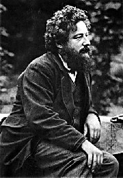 William Morris, peddler of poisonous paper? (William Morris aged 41, photographed by Frederick Hollyer (source: William Morris Gallery))