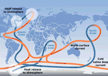 Great Ocean Conveyor Belt (From the Intergovernmental Panel on Climate Change)