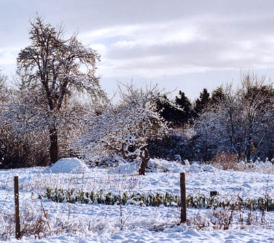 Why are we locked in an ice age? (Photo by David Bradley)