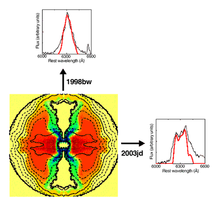 Aspherical explosion of a massive star and direction dependent shape of the oxygen line. For Supernova 1998bw, the gamma-ray burst and jet were directed towards the Earth. The oxygen line in the supernova spectrum had one sharp maximum (red: model, black: observation). For SN 2003jd the observer was positioned at a large angle relative to the jet axis and the oxygen line had two maxima. (Mazzali et al)