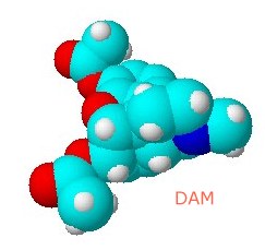 DAM molecular structure (by David Bradley)