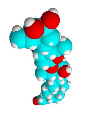 Digitoxin, a natural plant product, can be converted into new compounds (Structure by David Bradley)