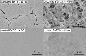Scanning electron micrographs of barium titanate nanocomposites