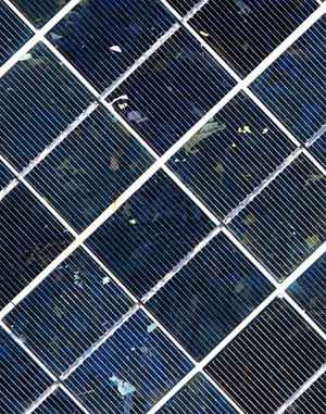 Generic solar panel (Photo by David Bradley)