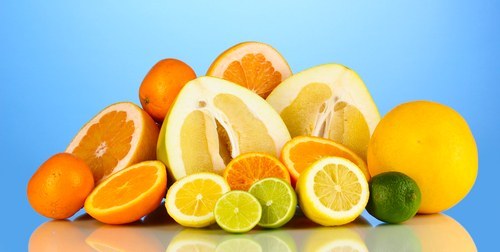 oranges-are-not-the-only-fruit